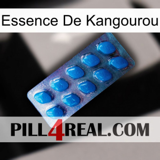 Kangaroo Essence viagra1